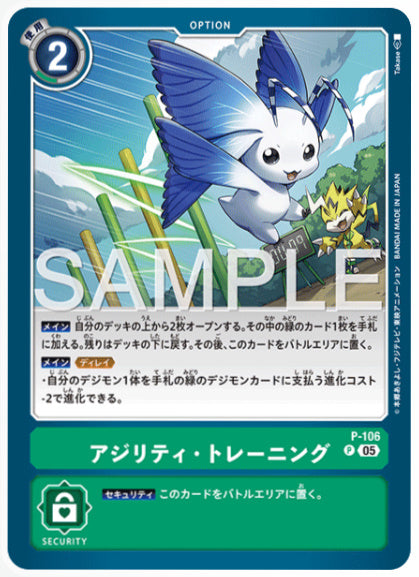 [AD-P-106]アジリティ・トレーニング