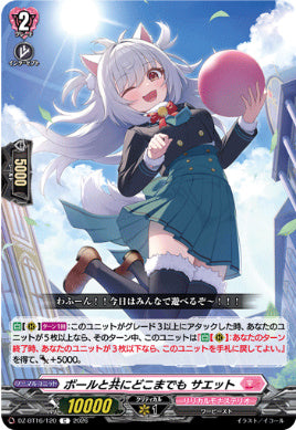 DZ-BT16/120ボールと共にどこまでも サエットC